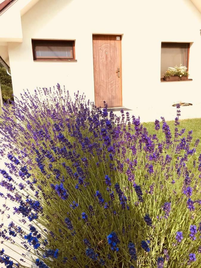 Grand Spa Holiday Home Sklené Teplice Exterior foto